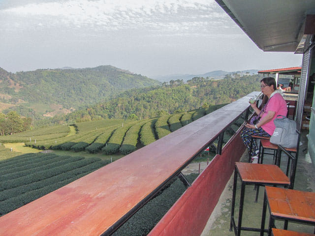  美斯樂 101 茶園商場店舖