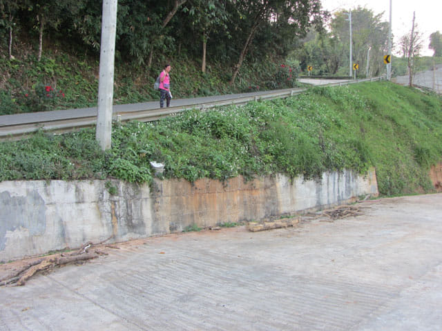 美斯樂遠足 1130公路