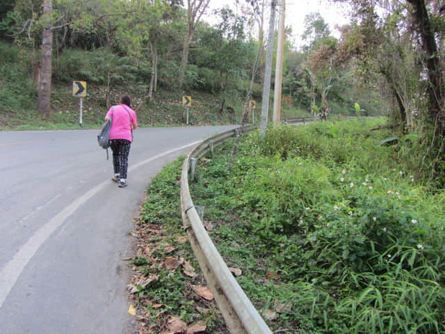 美斯樂遠足 1130公路