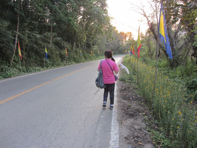 美斯樂遠足 1130公路