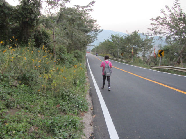 美斯樂 遠足 1130公路