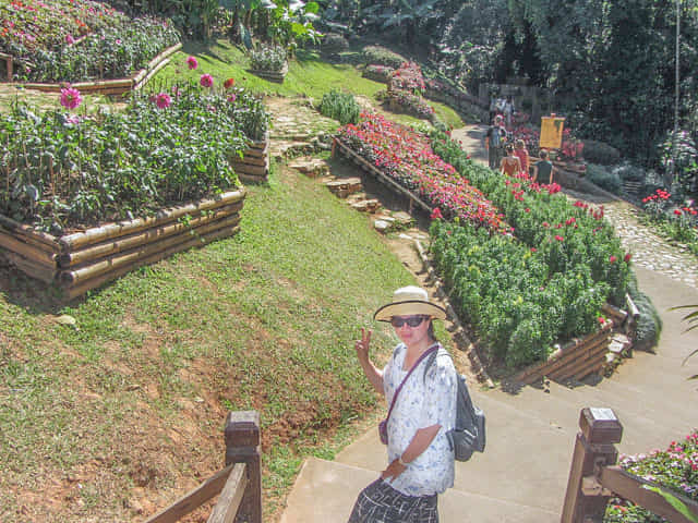 泰國美塞縣 董山 (Doi Tung / ดอยตุง) Mae Fah Luang Garden (皇太后御花園)
