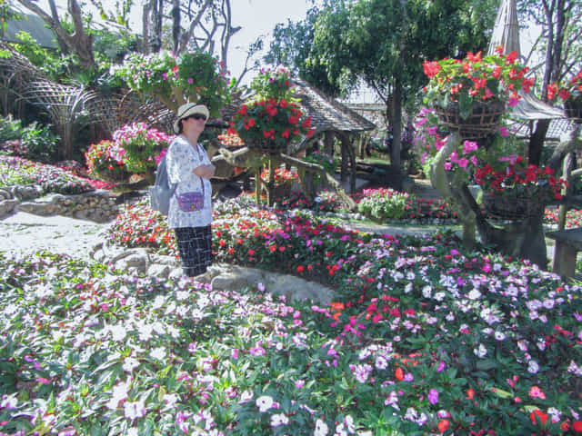 泰國董山 (Doi Tung) Mae Fah Luang Garden (皇太后御花園)