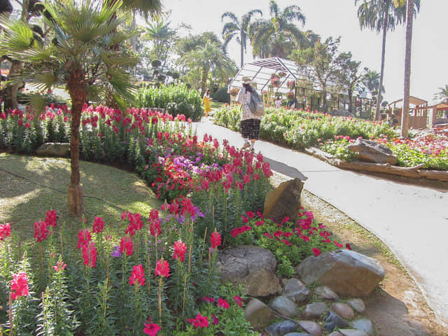 泰國董山 (Doi Tung) Mae Fah Luang Garden (皇太后御花園)