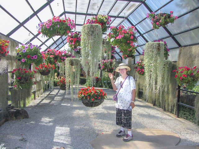 泰國董山 (Doi Tung) Mae Fah Luang Garden (皇太后御花園)