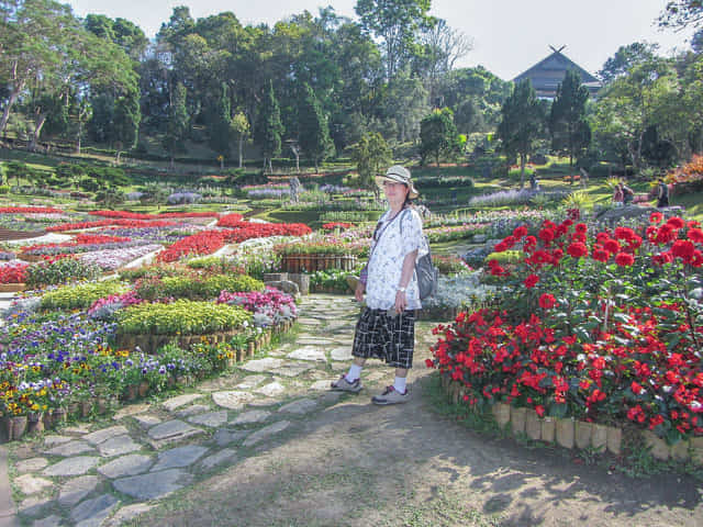 泰國董山 (Doi Tung) Mae Fah Luang Garden (皇太后御花園)