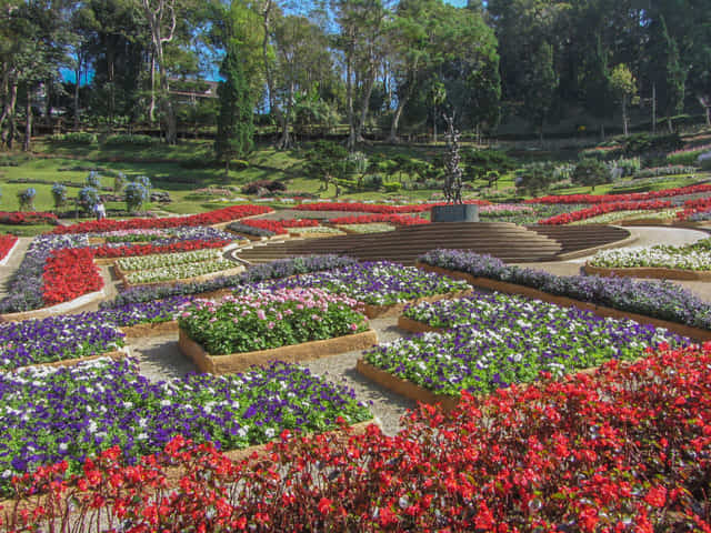 泰國董山 (Doi Tung) Mae Fah Luang Garden (皇太后御花園)