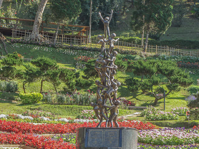 泰國董山 (Doi Tung) Mae Fah Luang Garden (皇太后御花園)