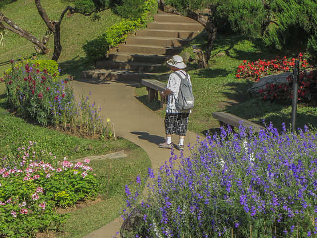 泰國董山 (Doi Tung) Mae Fah Luang Garden (皇太后御花園)