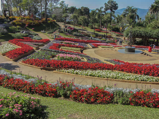 泰國董山 (Doi Tung) Mae Fah Luang Garden (皇太后御花園)