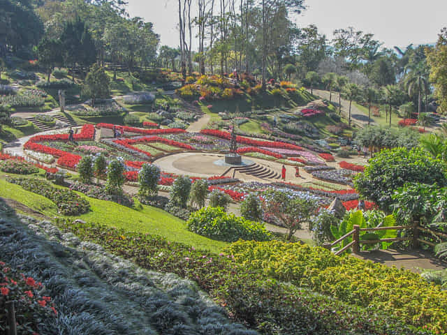 泰國董山 (Doi Tung) Mae Fah Luang Garden (皇太后御花園)