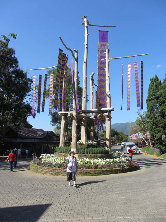 泰國董山 Doi Tung 風景區