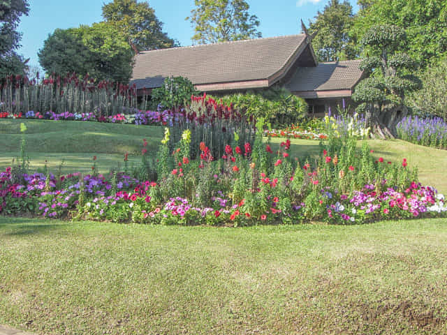 董山皇太后行宮 (สวนรุกขชาติดอยช้างมูบ / Doi Tung Royal Villa) 