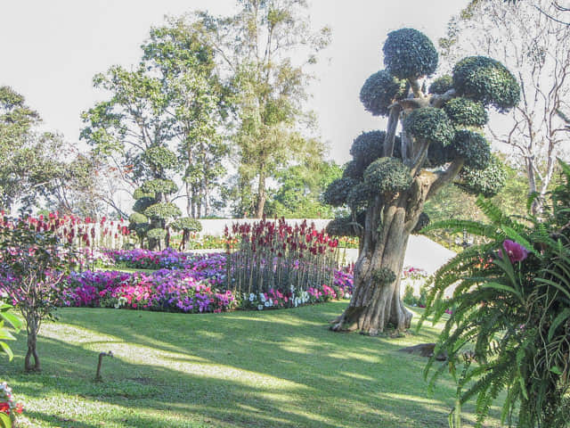 泰國 董山皇太后行宮 (Doi Tung Royal Villa) 