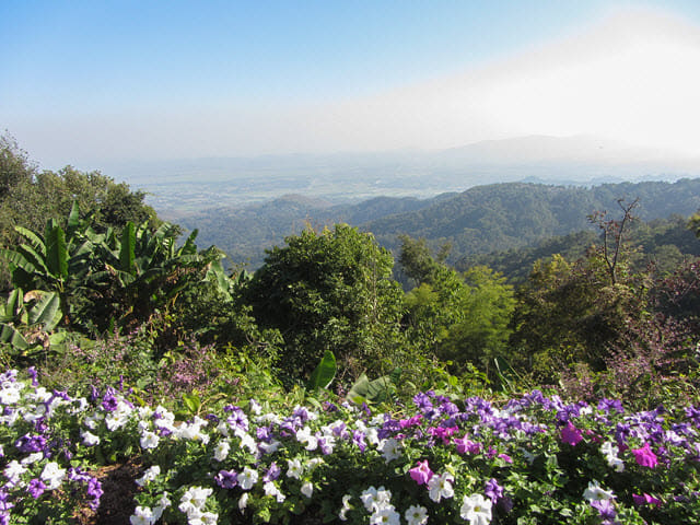 泰國董山 (Doi Tung) Mae Fah Luang Garden (皇太后御花園)