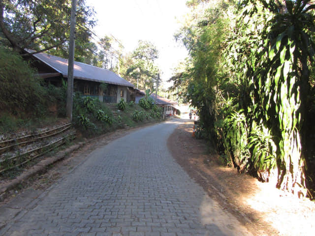 泰國 董山 (Doi Tung / ดอยตุง): 步行往 12號展望台