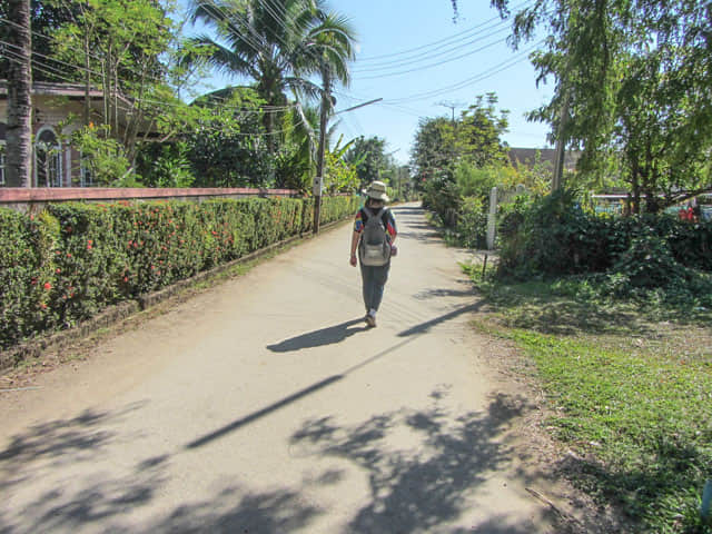 泰國美塞 步行到 Bao Noi Strawberry Plantation (ไร่บ่าวน้อยสตรอเบอร์รี่) 草莓種植場