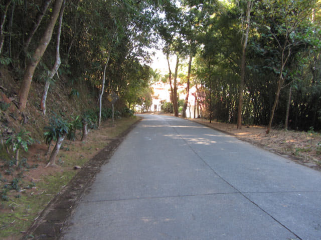 泰國金三角公園 Wat Phra That Pu Khao