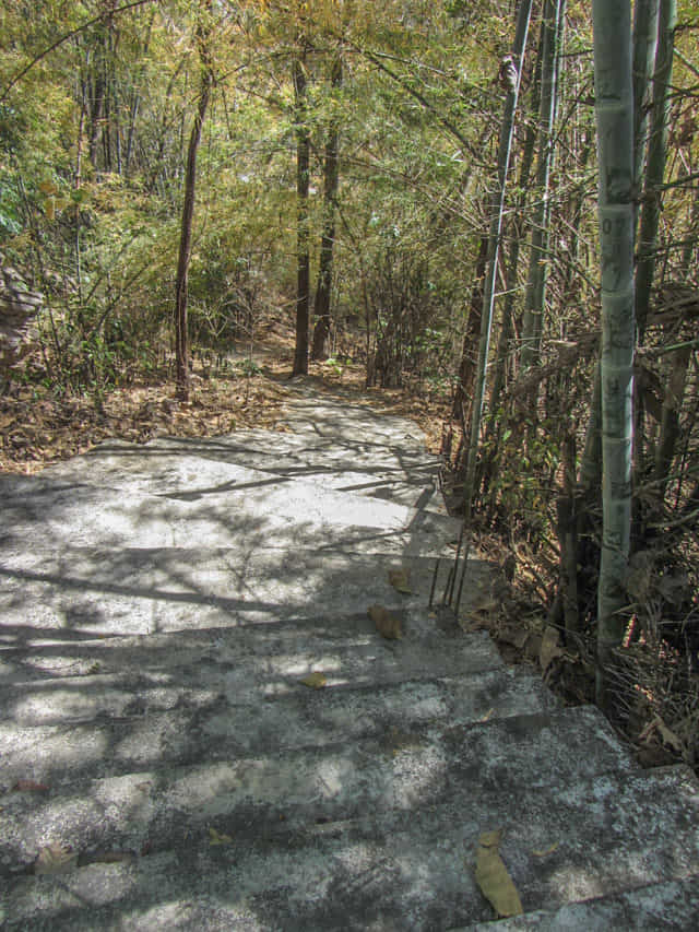 泰國美塞鎮 泰緬邊境 登上 Wat Tham Pha Chom 展望台