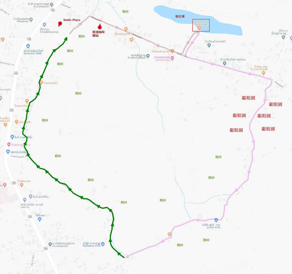 泰國 Chom Thong (宗通) 風景優美 連綿青蔥稻田 步行路線地圖
