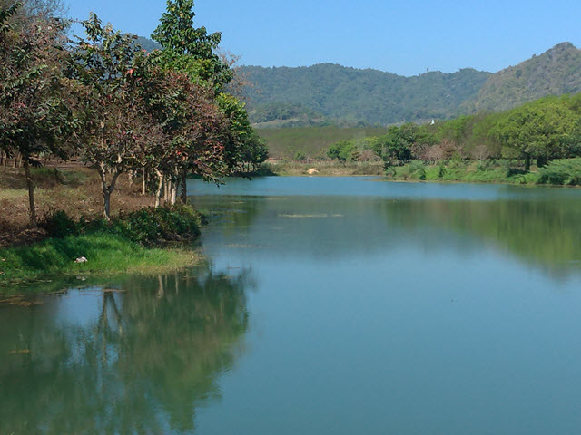 泰國清萊聖獅公園