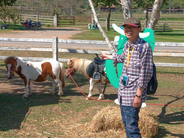 泰國清萊聖獅公園 動物園