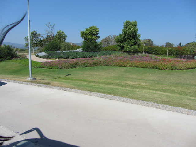 泰國清萊聖獅公園 (Singha Park) 乘坐遊覽車