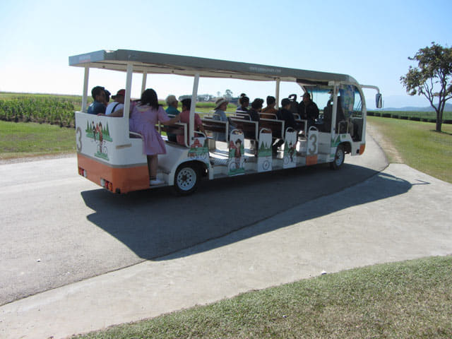 泰國清萊聖獅公園遊園遊覽車