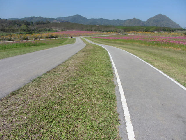 泰國清萊聖獅公園