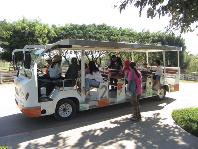 泰國清萊聖獅公園 遊園遊覽車