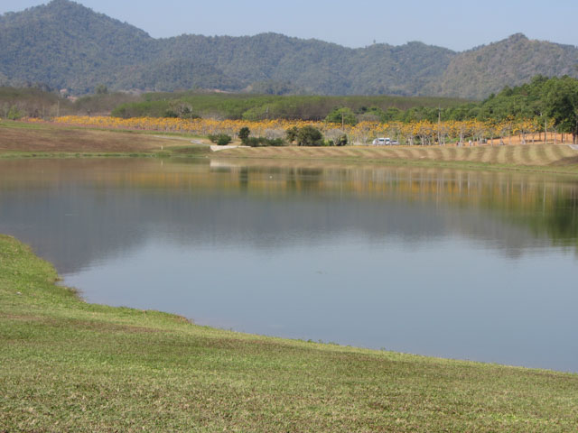 泰國清萊聖獅公園 運動及娛樂場所站