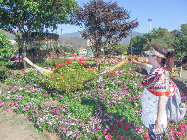 泰國清邁市 拉查帕皇家花園 (Royal Park Rajapruek) 花圃