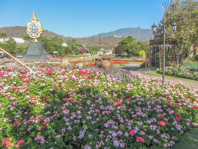 泰國清邁市 拉查帕皇家花園 (Royal Park Rajapruek) 花圃