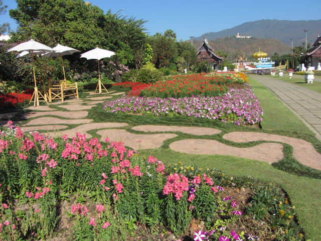 泰國清邁市 拉查帕皇家花園 (Royal Park Rajapruek)