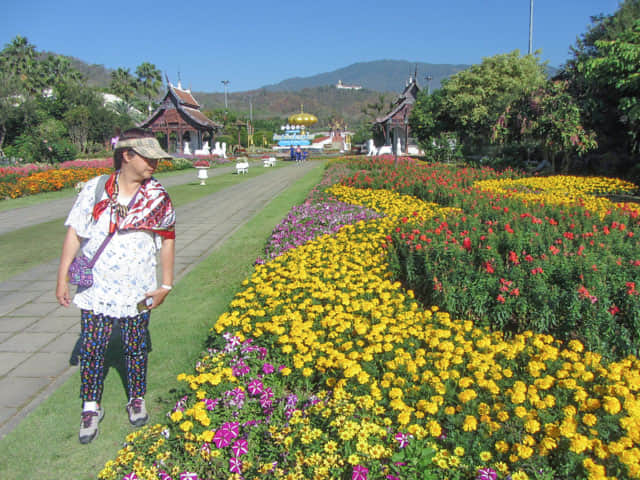 泰國清邁市 拉查帕皇家花園 (Royal Park Rajapruek)