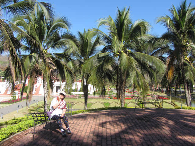 泰國清邁市拉查帕皇家花園 (Royal Park Rajapruek) 椰林步道