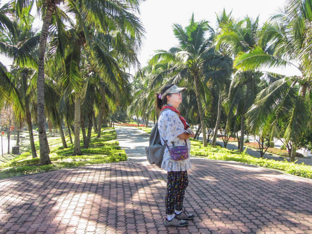 泰國清邁市拉查帕皇家花園 (Royal Park Rajapruek) 椰林步道