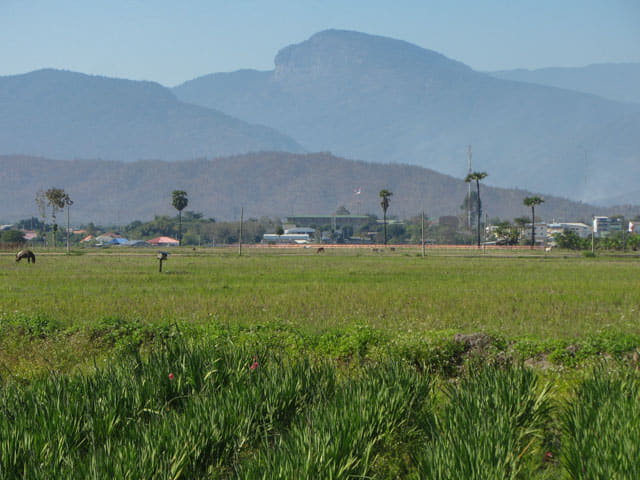 泰國 Chom Thong (宗通) 田園景色