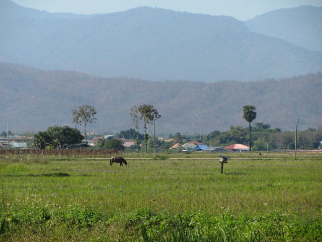 泰國 Chom Thong (宗通) 田園景色
