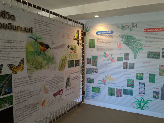 泰國 茵他儂國家公園 (Doi Inthanon National Park) 山頂 - 茵他儂國家公園展覽館