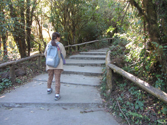 泰國 茵他儂國家公園 (Doi Inthanon National Park) 山頂 - Angkha Nature Trail 自然教育徑