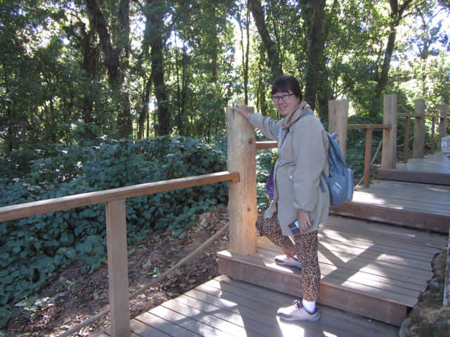 泰國 茵他儂國家公園 (Doi Inthanon National Park) 山頂 - Angkha Nature Trail 自然教育徑