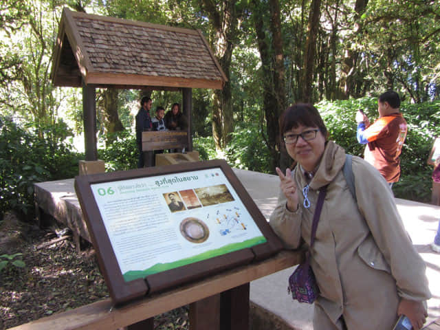 泰國 茵他儂國家公園 (Doi Inthanon National Park) 山頂 - Angkha Nature Trail 自然教育徑