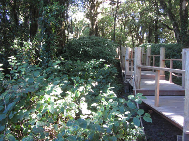 泰國 茵他儂國家公園 (Doi Inthanon National Park) 山頂 - Angkha Nature Trail 自然教育徑