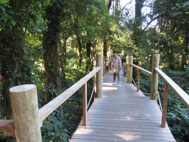 泰國 茵他儂國家公園 (Doi Inthanon National Park) 山頂 - Angkha Nature Trail 自然教育徑
