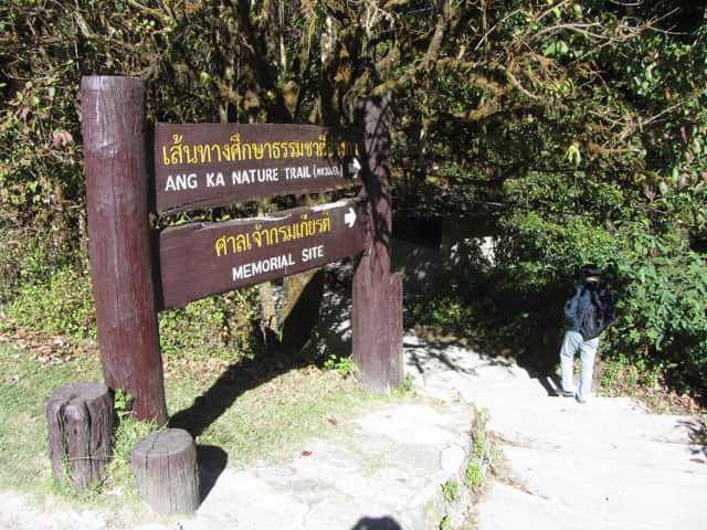 泰國 茵他儂國家公園 (Doi Inthanon National Park) 山頂 - Angkha Nature Trail 自然教育徑