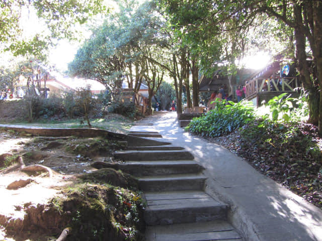 泰國 茵他儂國家公園 (Doi Inthanon National Park) 山頂 - Angkha Nature Trail 自然教育徑