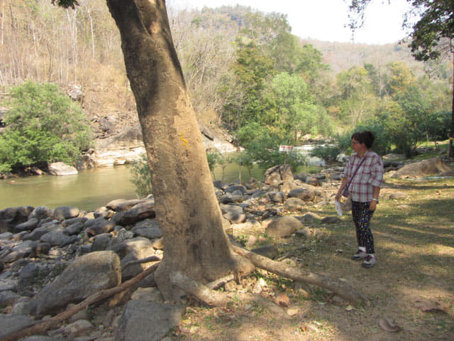 泰國 Ob Luang National Park (Op Luang National Park) 峽谷國家公園