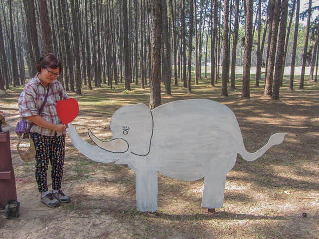 泰國 Boa Keaw Pine Park 松樹林公園