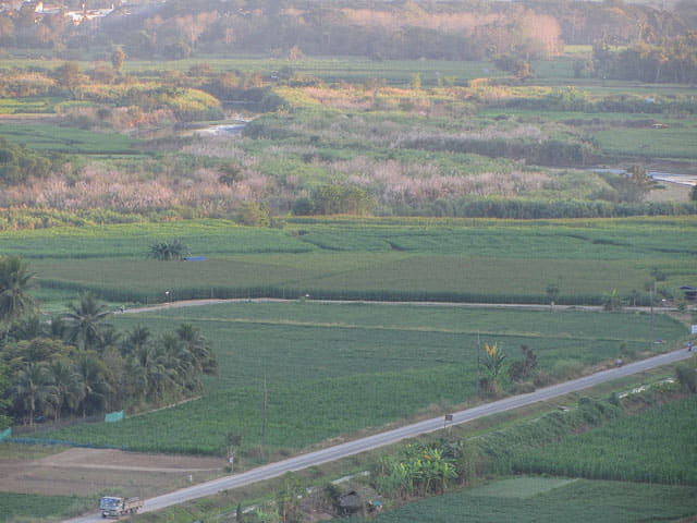 泰國夜沙良 (Mae Sariang / อำเภอแม่สะเรียง) 田園景色